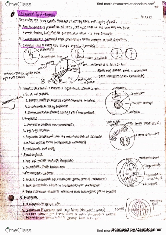 BIO SCI 93 Chapter 12 and 13: pg 232-239,252-265 thumbnail